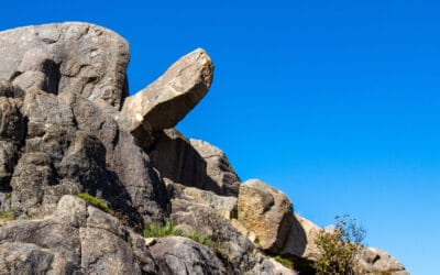 Etablererkurs i april 2026